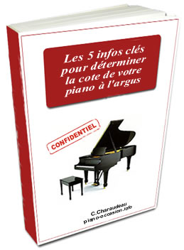 Les 5 clés de l'argus du piano d'occasion Les 5 clés de l'argus du piano d'occasion